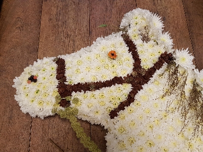 Horse Funeral Tribute