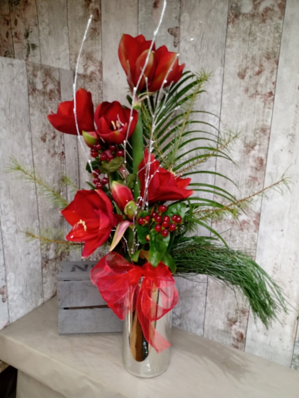 Christmas Amaryllis Vase