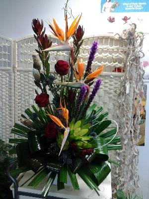 Tropical Arrangement