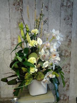 Orchid  Arrangement