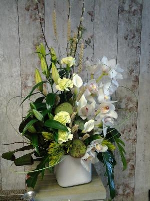 Orchid  Arrangement