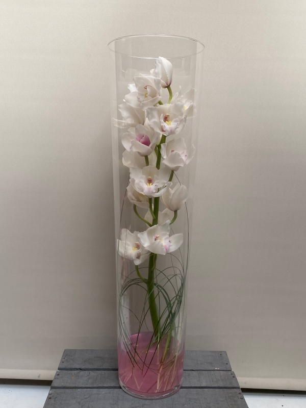 Mother's Orchid Vase