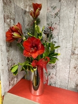 Christmas Amaryllis Vase