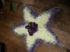 Star Tribute