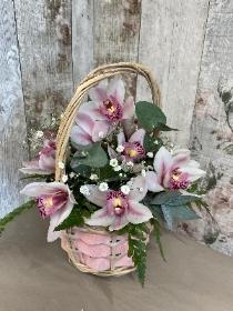 Mothers Day Orchid Basket
