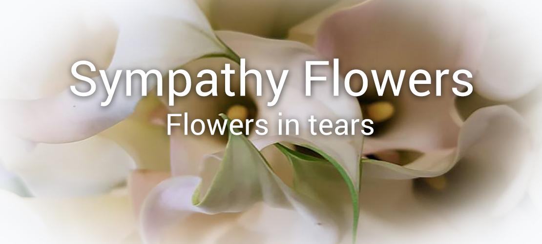 Brambles Florist in Mansfield Flowers Mansfield Mansfield Florist